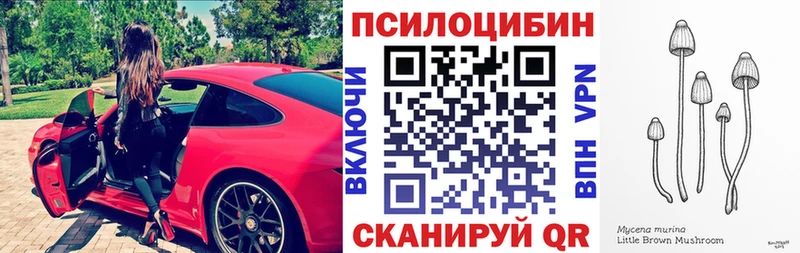 Купить закладки  Томмот  Галлюциногенные грибы Magic Shrooms 